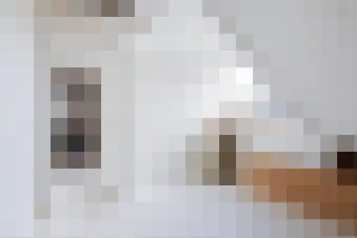 Marktweg 38 Oudeschoot thumbnail 40