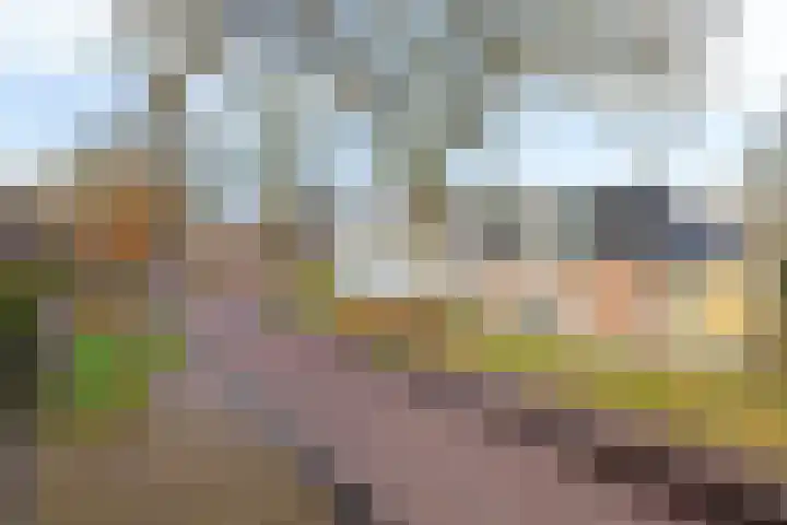 Marktweg 38 Oudeschoot thumbnail 46