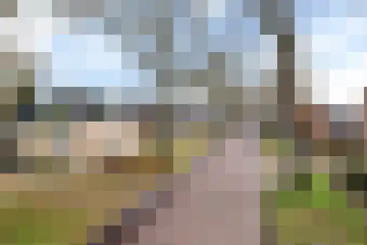 Marktweg 38 Oudeschoot thumbnail 47