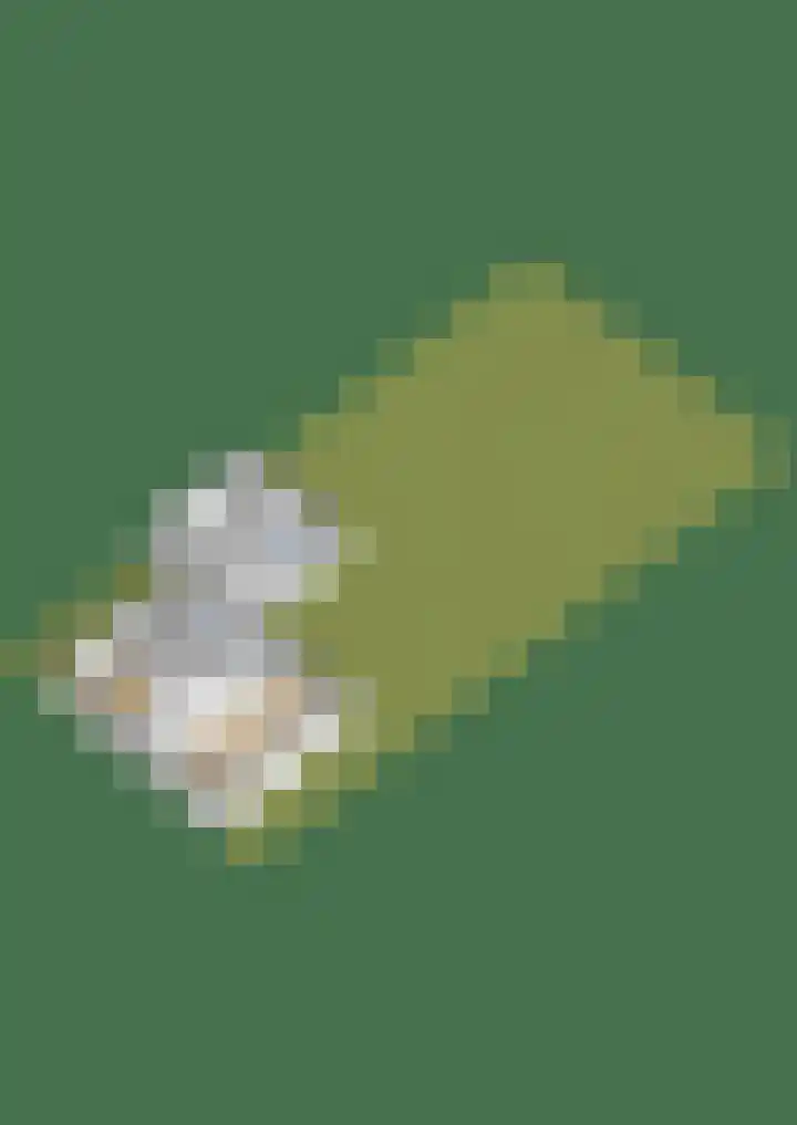 Marktweg 38 Oudeschoot thumbnail 53