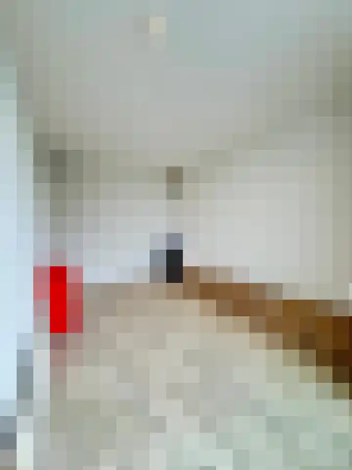 Marktweg 381 Den Haag thumbnail 11