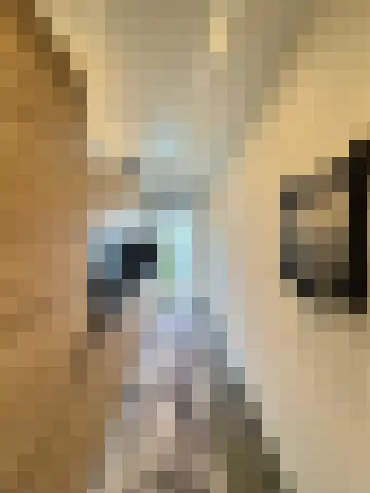 Marktweg 381 Den Haag thumbnail 17