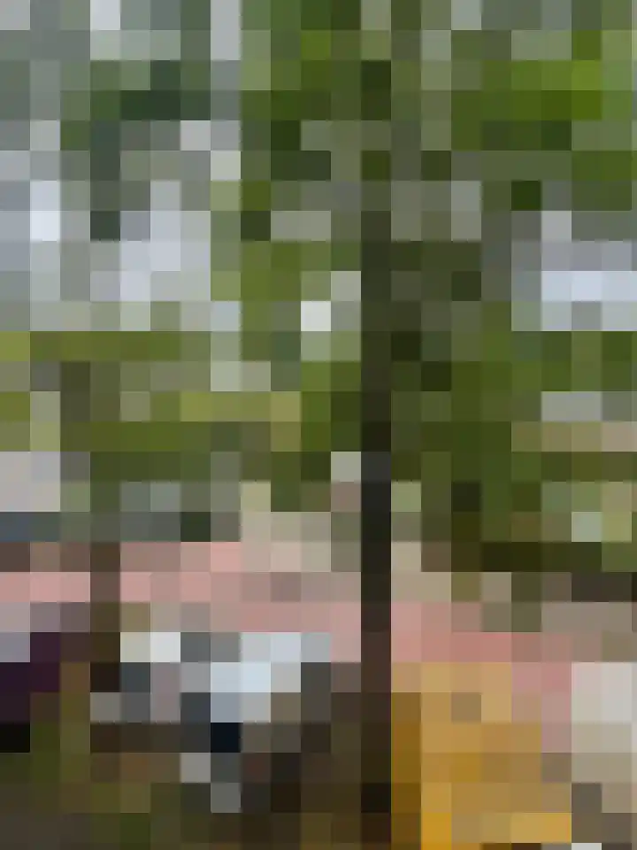 Marktweg 381 Den Haag thumbnail 19