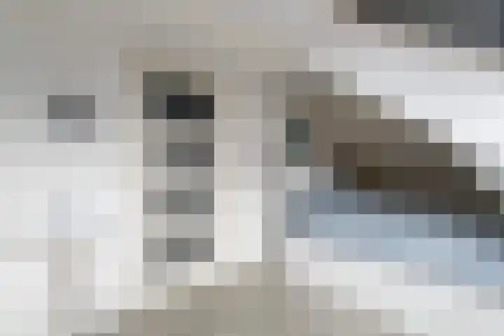Marktweg 42 Oudeschoot thumbnail 19