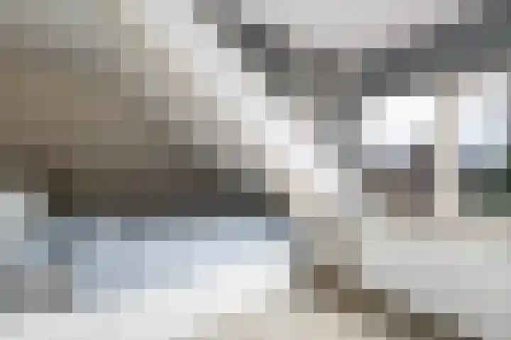 Marktweg 42 Oudeschoot thumbnail 20