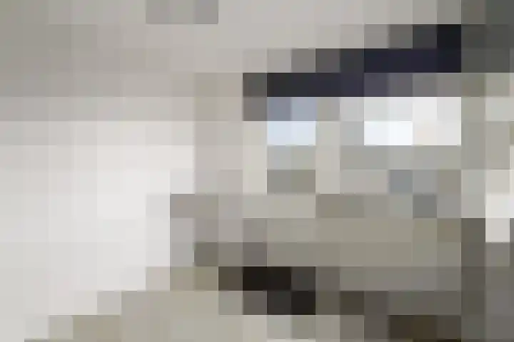 Marktweg 42 Oudeschoot thumbnail 24