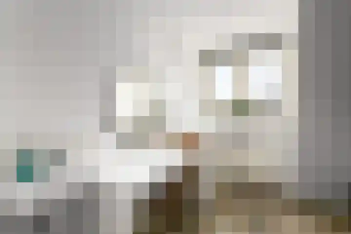 Marktweg 42 Oudeschoot thumbnail 25