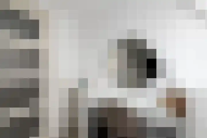 Marktweg 42 Oudeschoot thumbnail 26