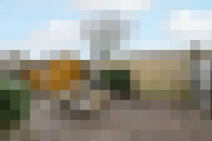 Marktweg 42 Oudeschoot thumbnail 31