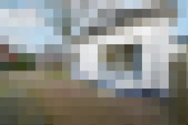 Marktweg 42 Oudeschoot thumbnail 35