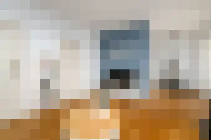 Marktweg 42 Oudeschoot thumbnail 6
