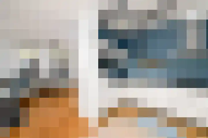 Marktweg 42 Oudeschoot thumbnail 7
