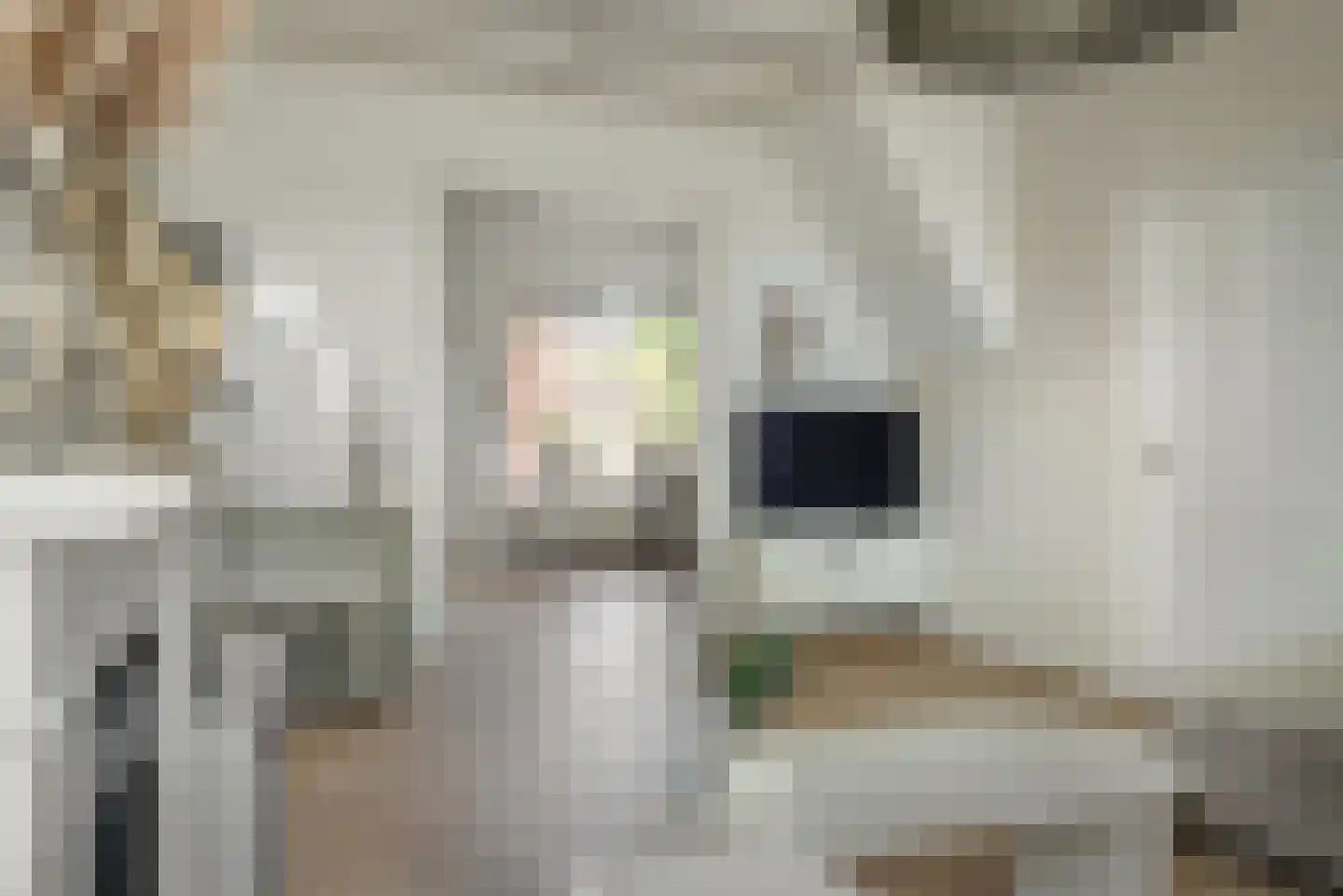 Marktweg 67 Oudeschoot thumbnail 11