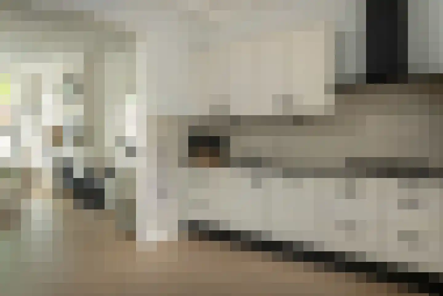 Marktweg 67 Oudeschoot thumbnail 12