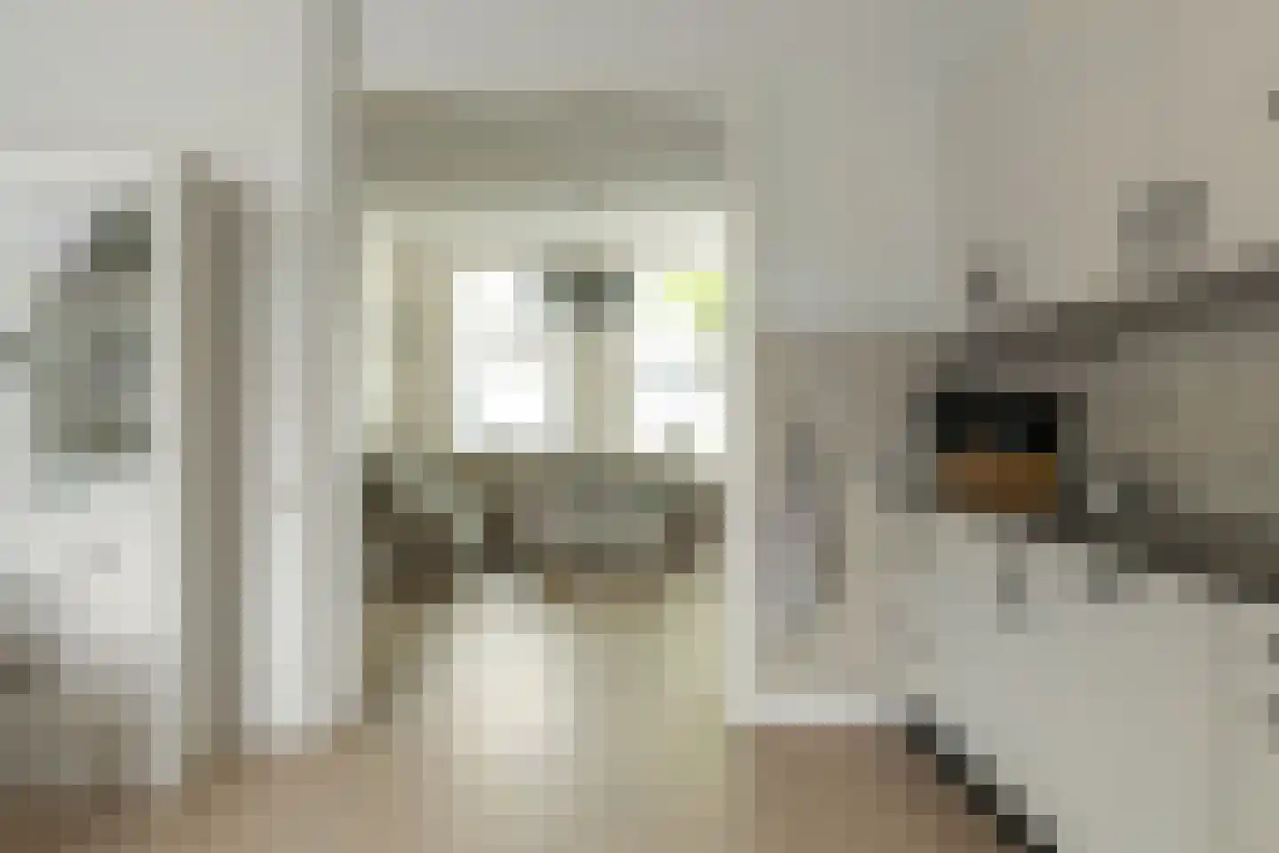 Marktweg 67 Oudeschoot thumbnail 14