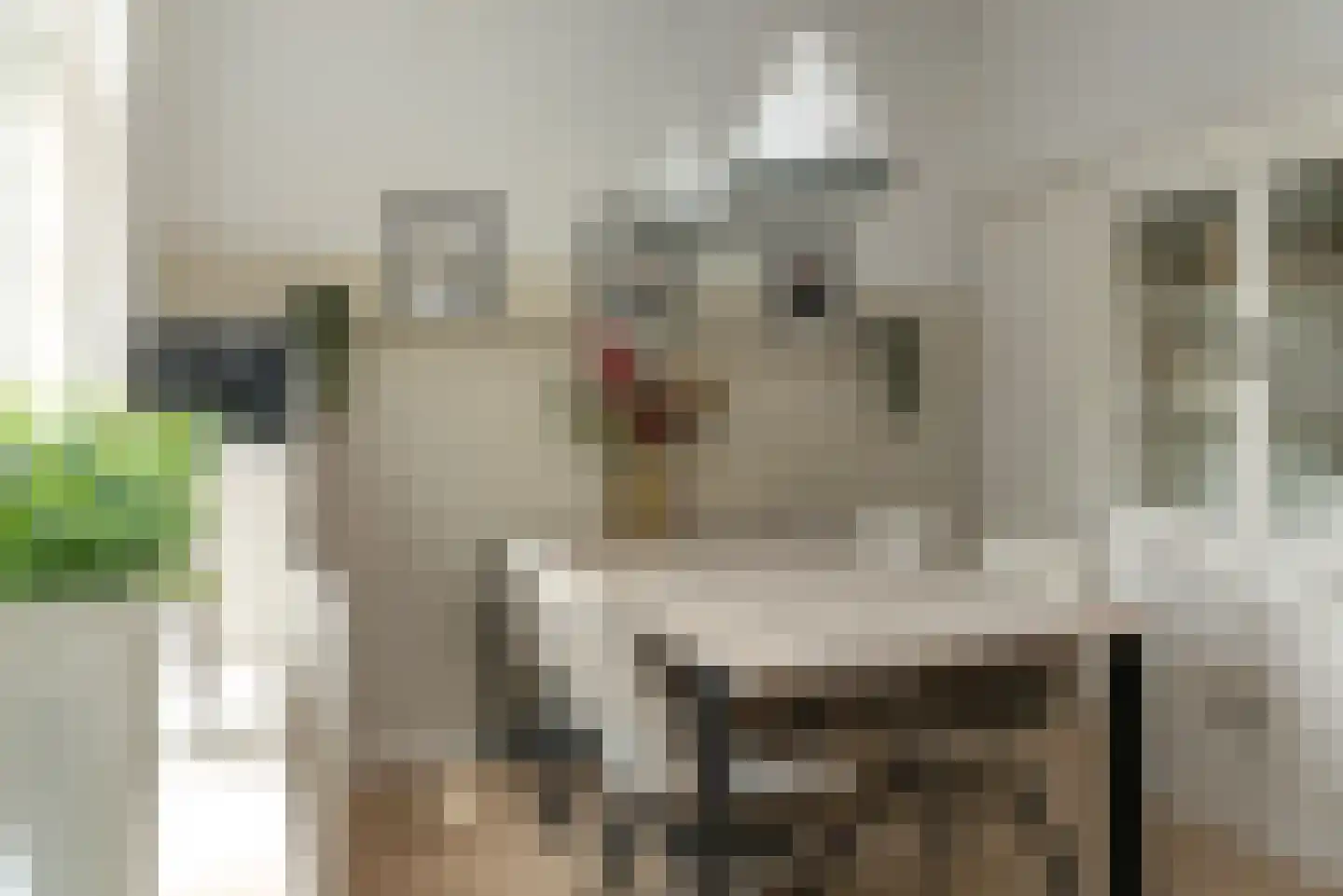 Marktweg 67 Oudeschoot thumbnail 15