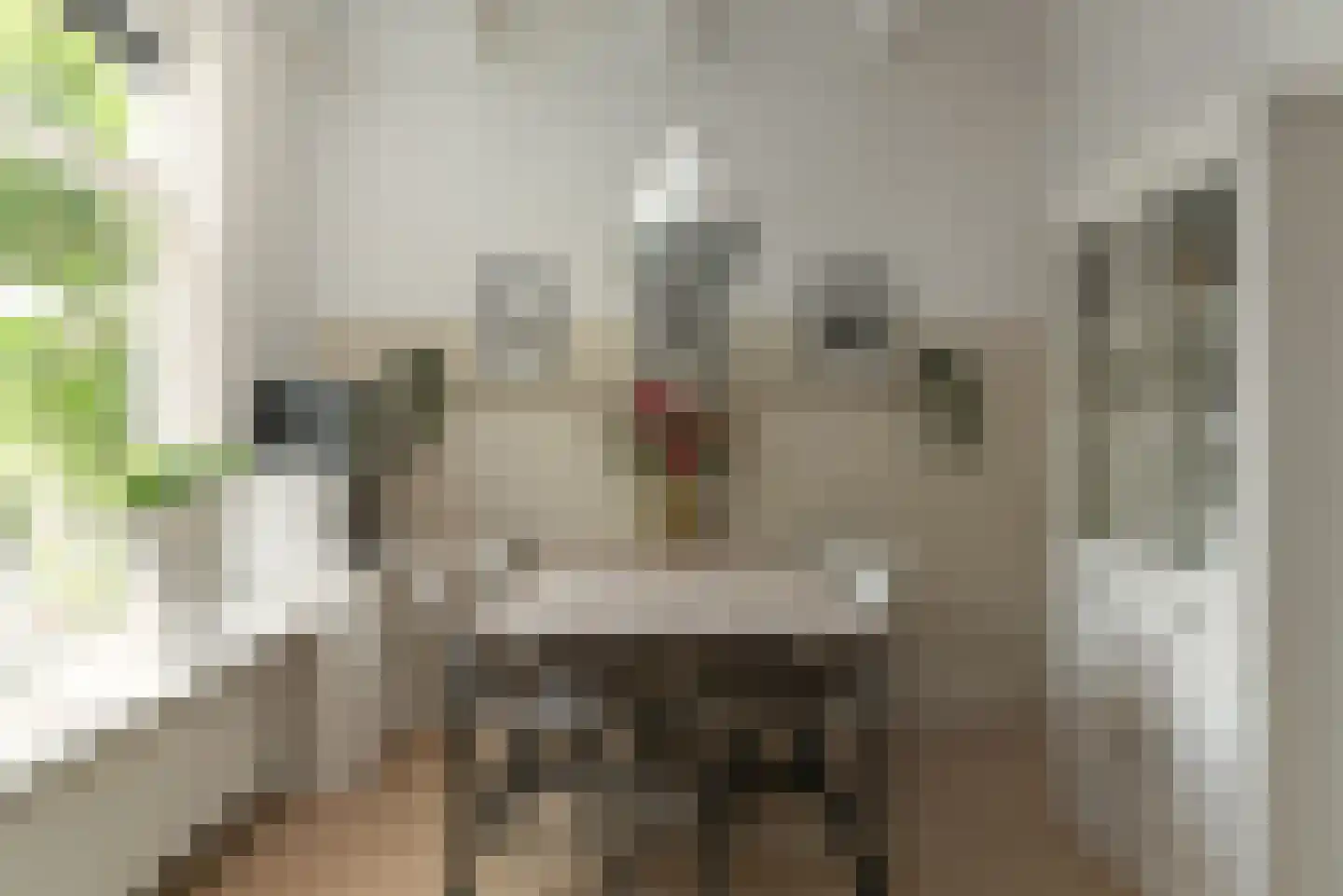 Marktweg 67 Oudeschoot thumbnail 17