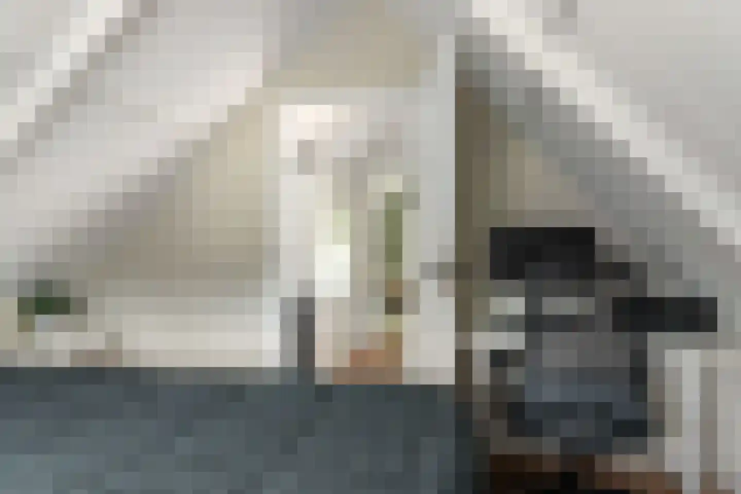 Marktweg 67 Oudeschoot thumbnail 28