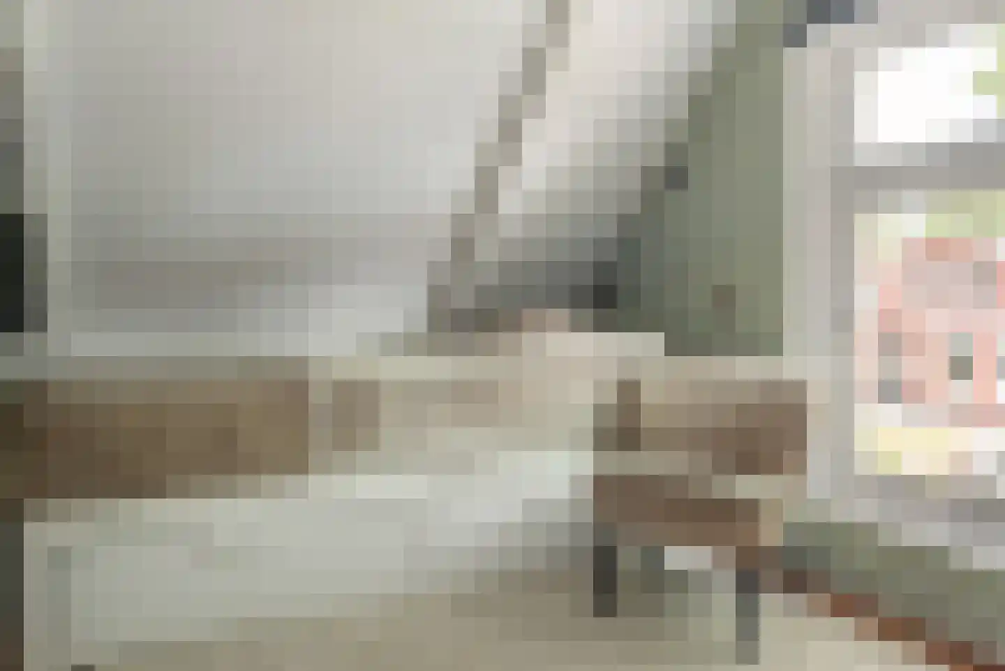 Marktweg 67 Oudeschoot thumbnail 32