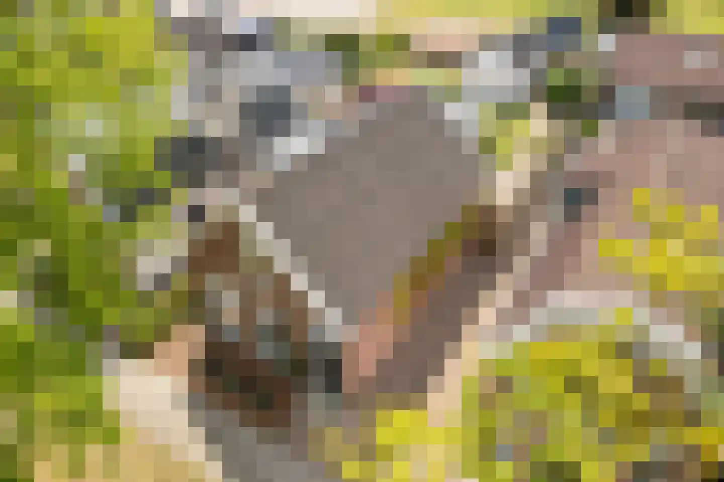 Marktweg 67 Oudeschoot thumbnail 34