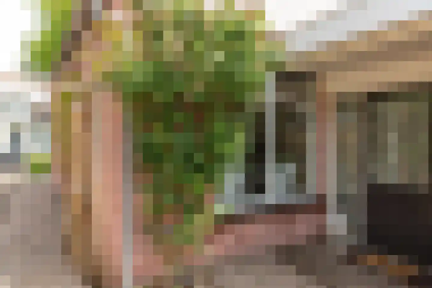 Marktweg 67 Oudeschoot thumbnail 38