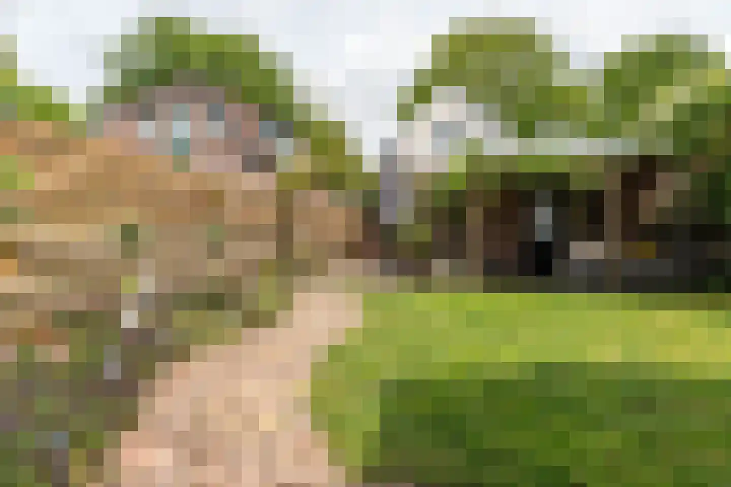 Marktweg 67 Oudeschoot thumbnail 39