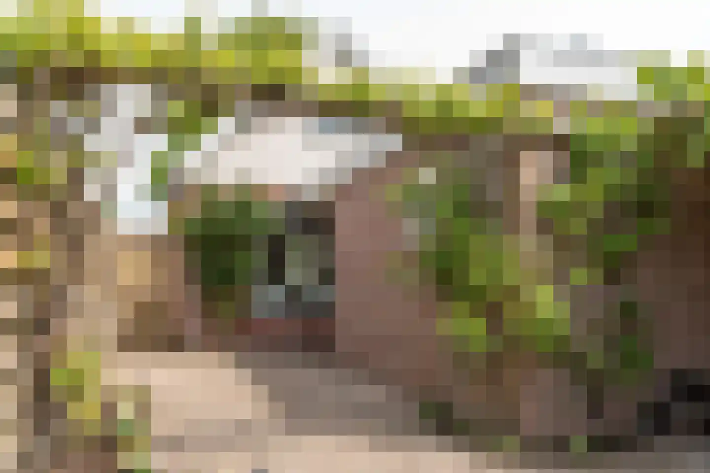 Marktweg 67 Oudeschoot thumbnail 40