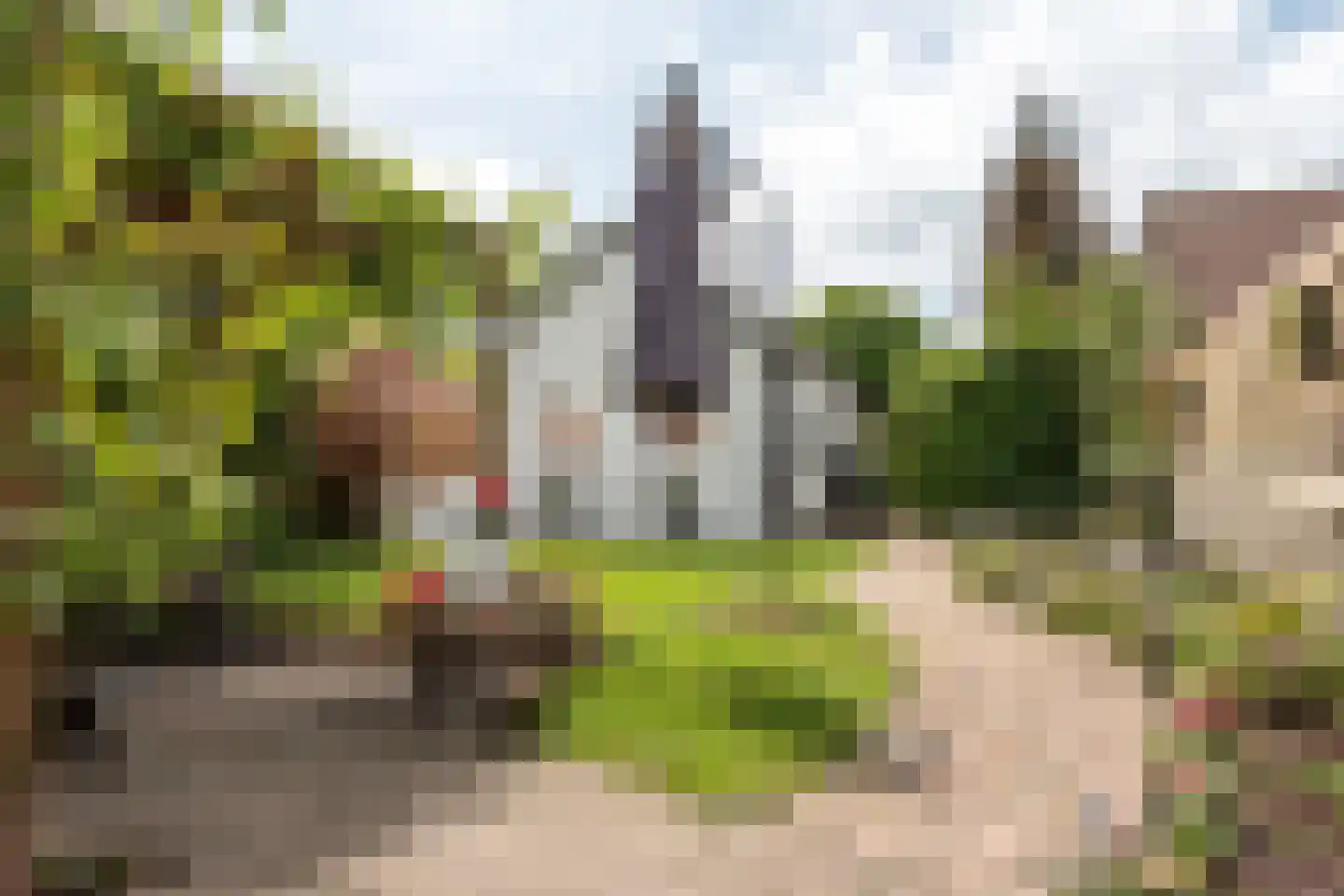 Marktweg 67 Oudeschoot thumbnail 43