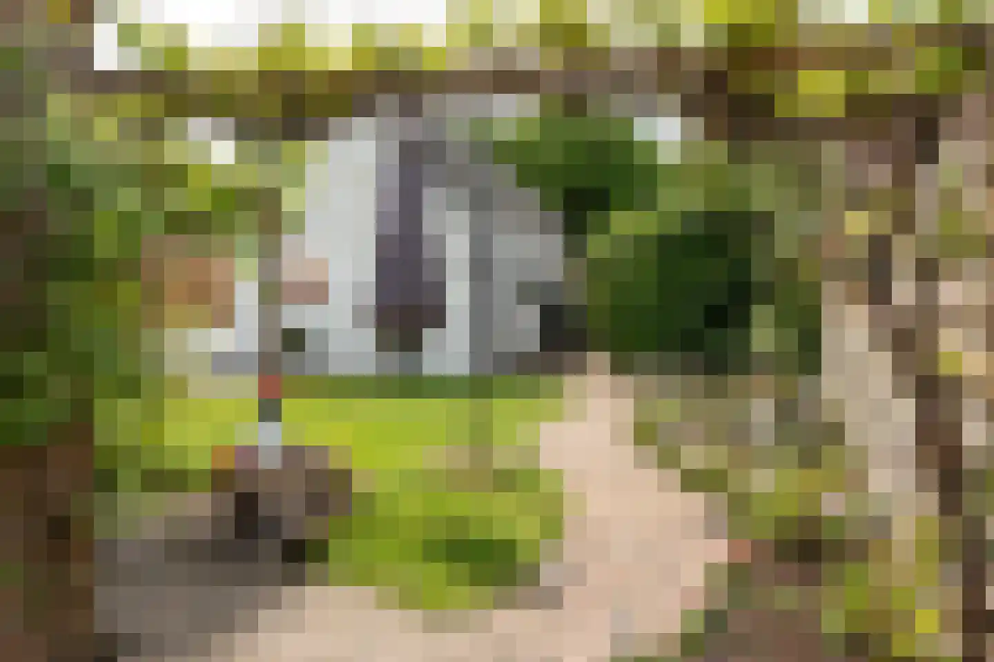 Marktweg 67 Oudeschoot thumbnail 45