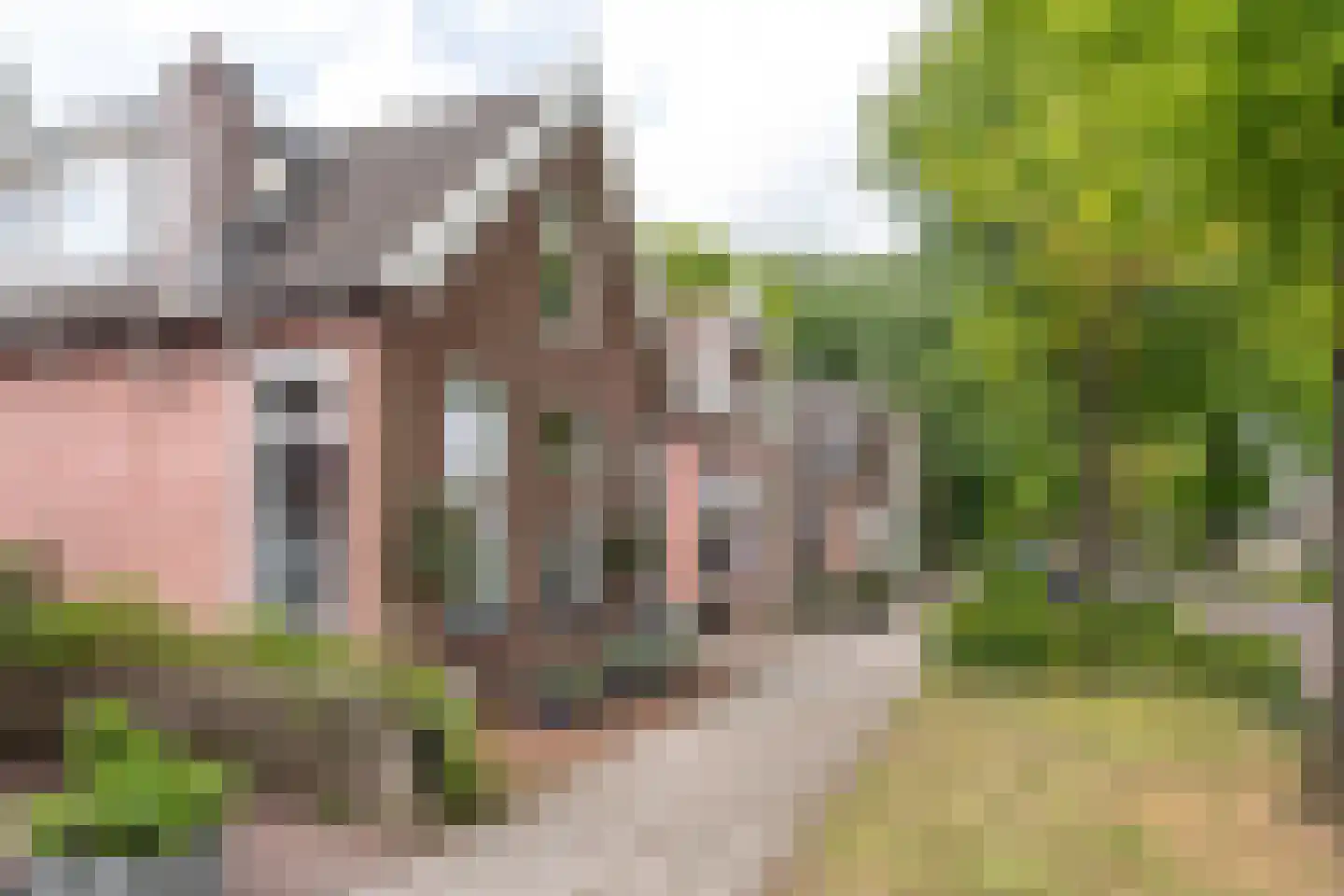 Marktweg 67 Oudeschoot thumbnail 47