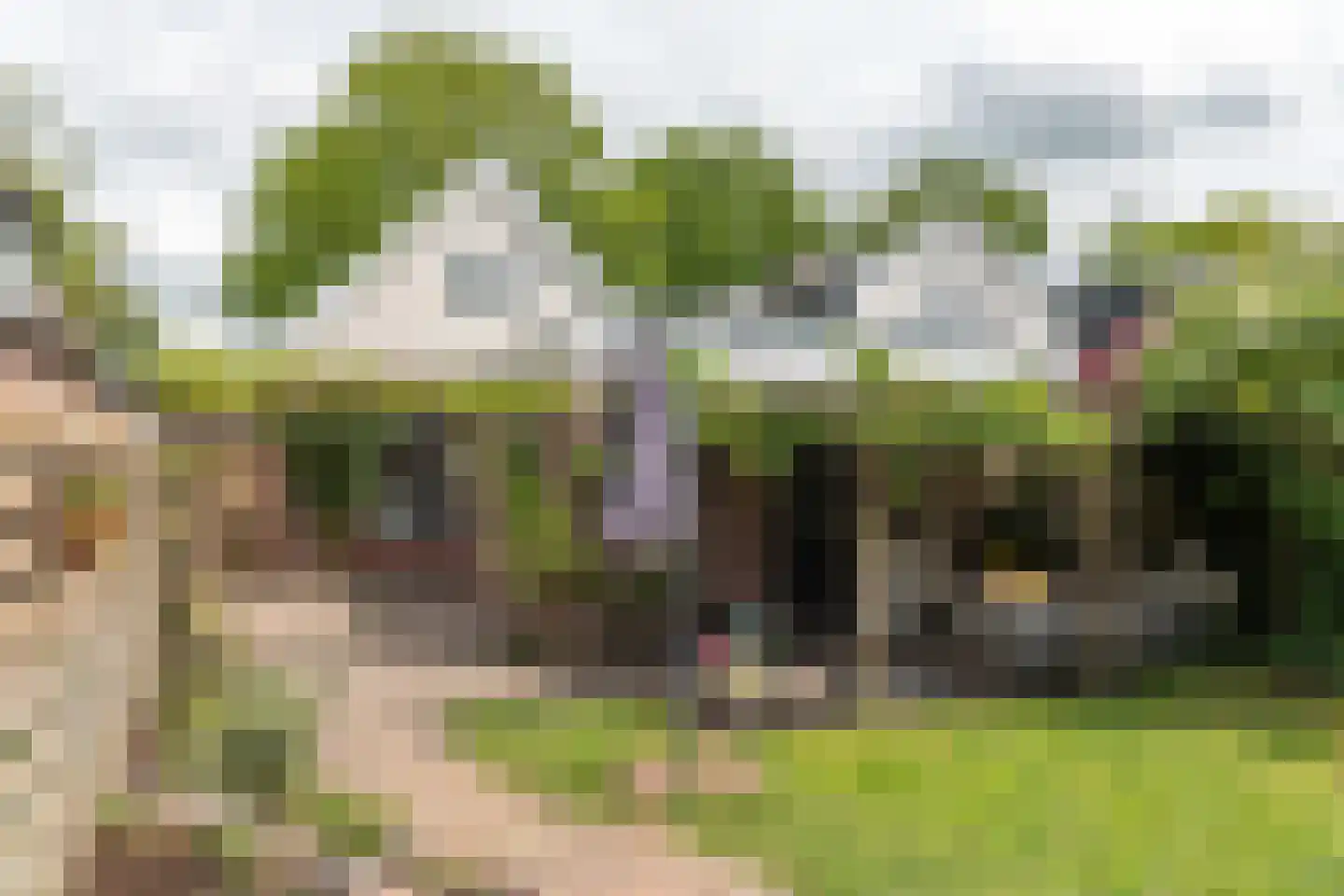 Marktweg 67 Oudeschoot thumbnail 51