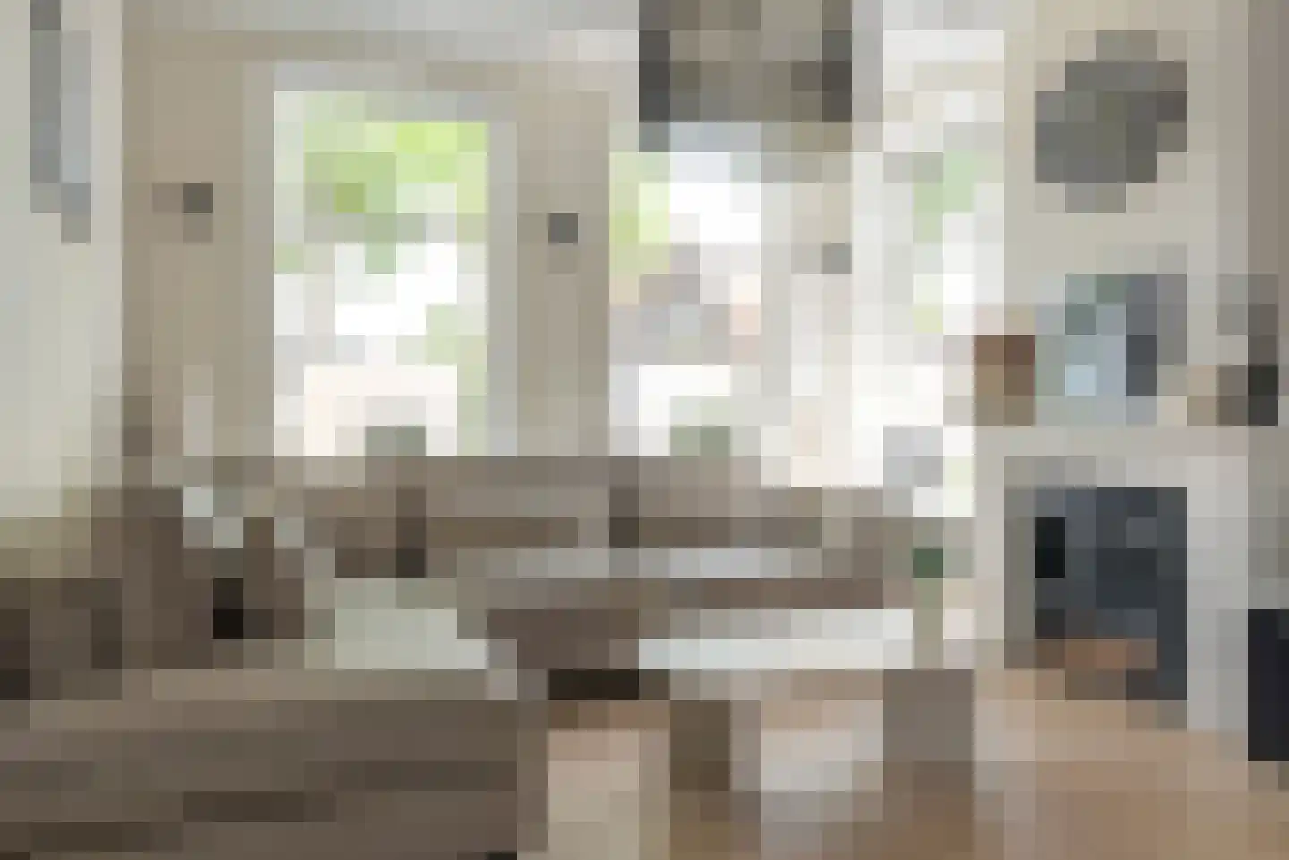 Marktweg 67 Oudeschoot thumbnail 8