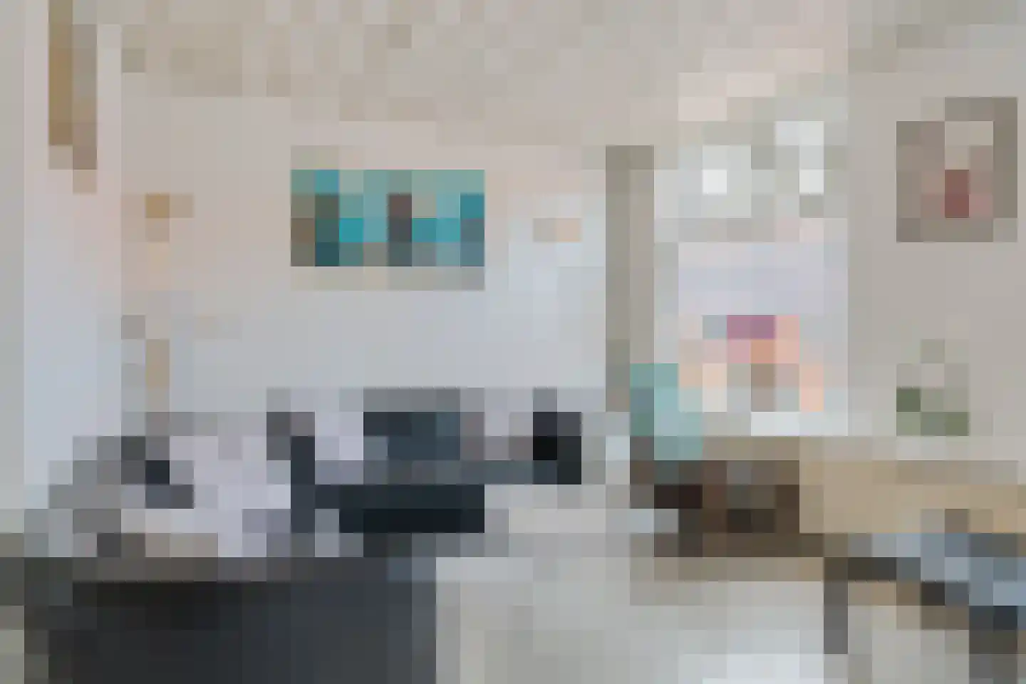Marktweg 72 Den Haag thumbnail 13