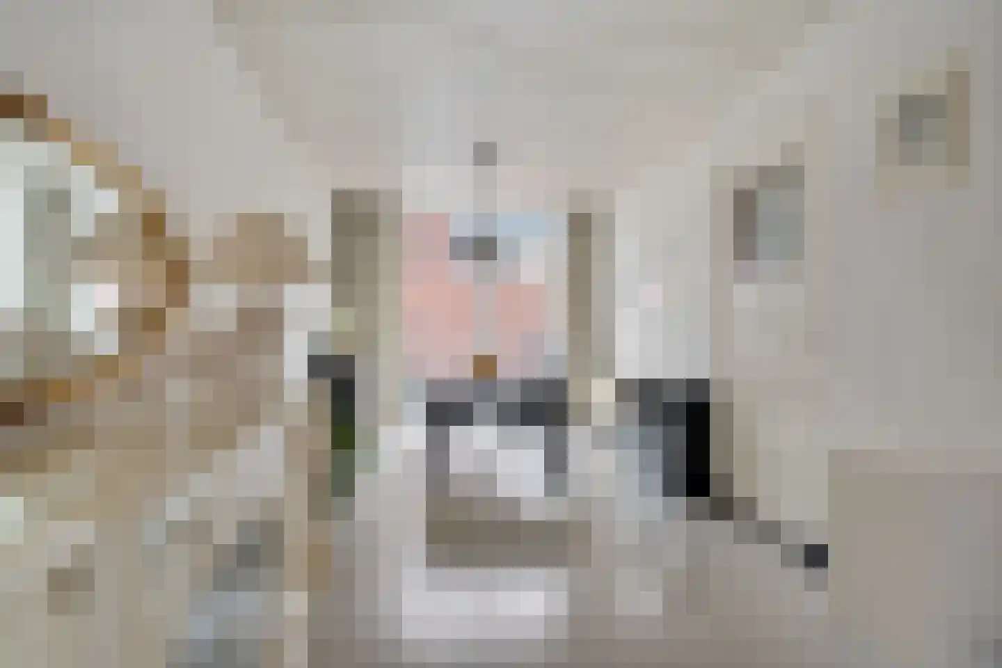 Marktweg 72 Den Haag thumbnail 16