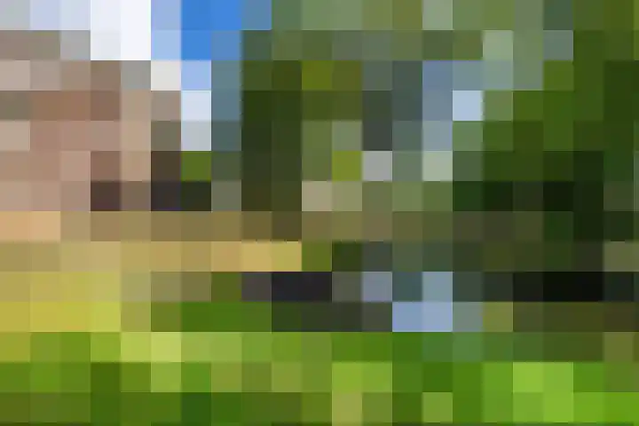Marktweg 79 13 Heerenveen thumbnail 10
