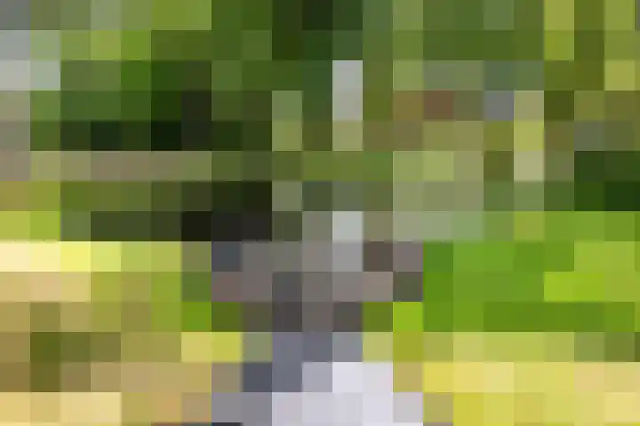 Marktweg 79 13 Heerenveen thumbnail 11