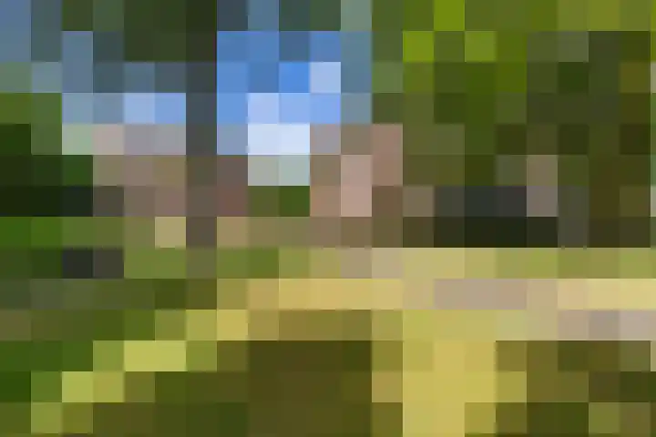 Marktweg 79 13 Heerenveen thumbnail 13