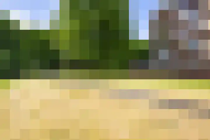 Marktweg 79 13 Heerenveen thumbnail 15