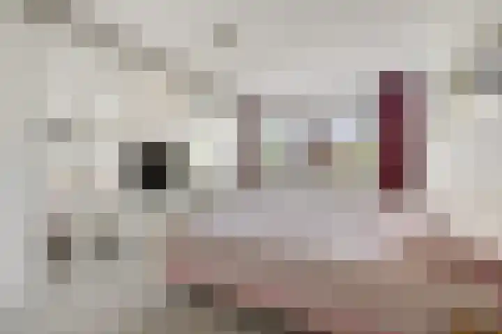 Marktweg 79 13 Heerenveen thumbnail 37