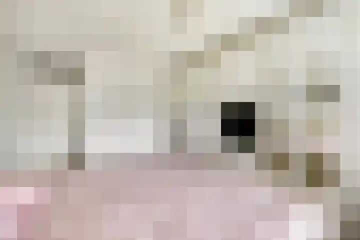 Marktweg 79 13 Heerenveen thumbnail 38