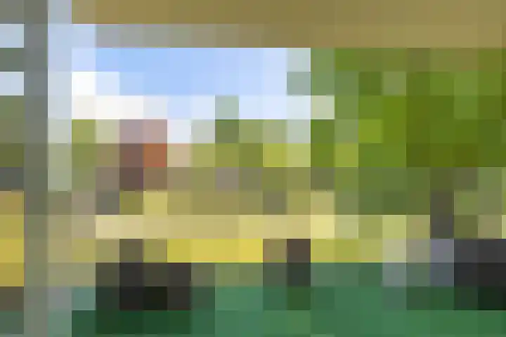 Marktweg 79 13 Heerenveen thumbnail 4