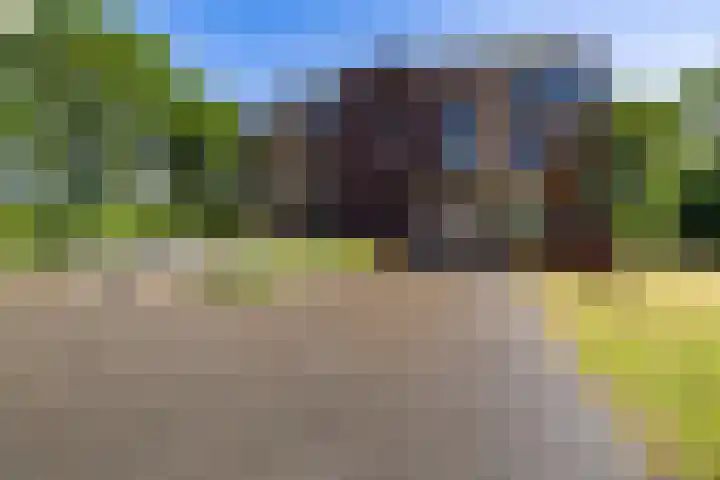 Marktweg 79 13 Heerenveen thumbnail 50