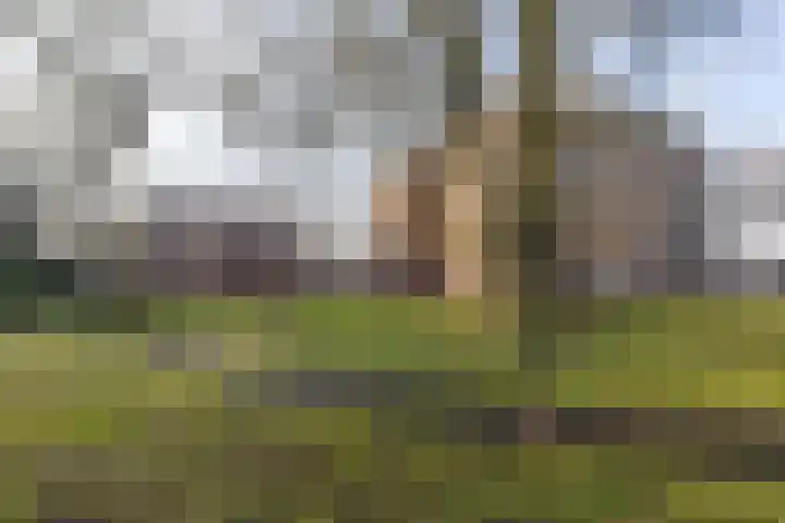 Marktweg 79 14 Heerenveen thumbnail 14