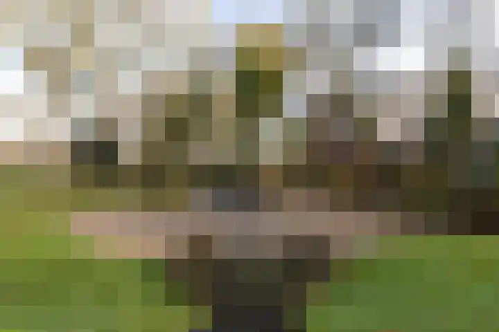 Marktweg 79 14 Heerenveen thumbnail 16