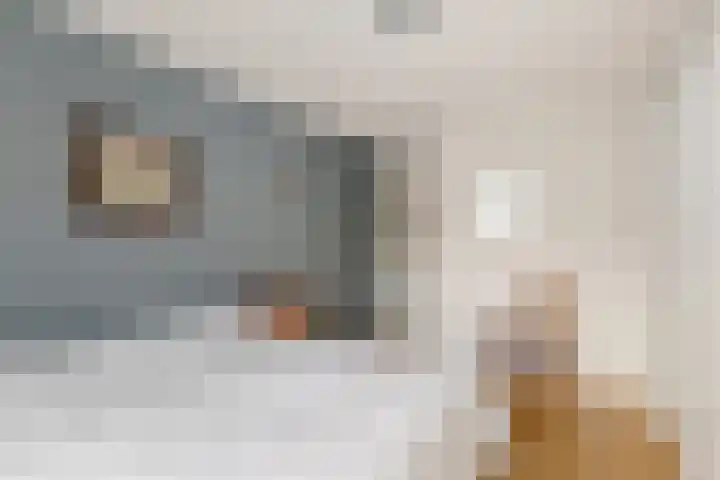 Marktweg 79 14 Heerenveen thumbnail 23