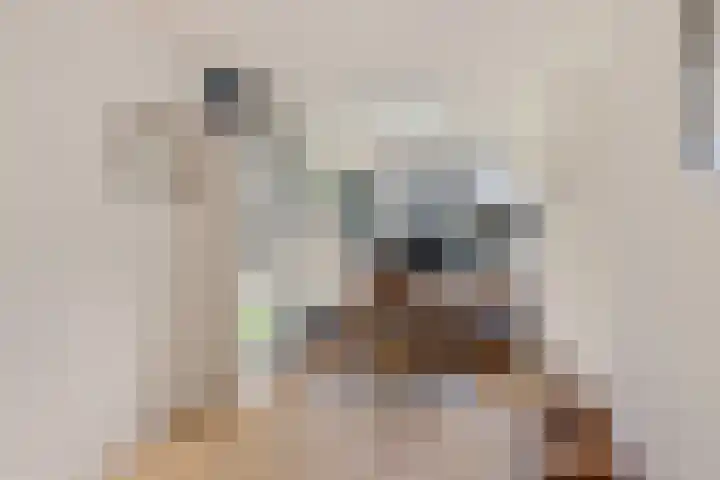 Marktweg 79 14 Heerenveen thumbnail 25
