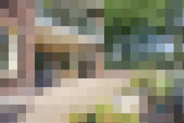 Marktweg 79 2 Heerenveen thumbnail 16