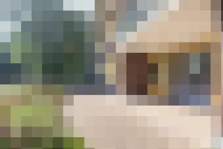 Marktweg 79 2 Heerenveen thumbnail 17