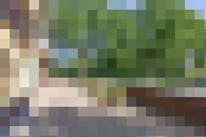 Marktweg 79 2 Heerenveen thumbnail 18