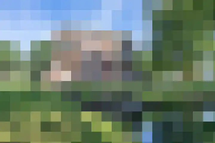 Marktweg 79 2 Heerenveen thumbnail 33